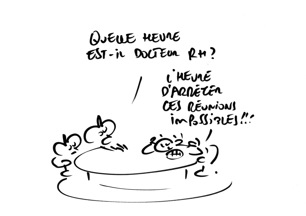 RAPAPORTdirectERDFcomplet2