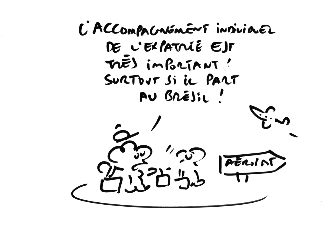 RAPAPORTdirectERDFcomplet50