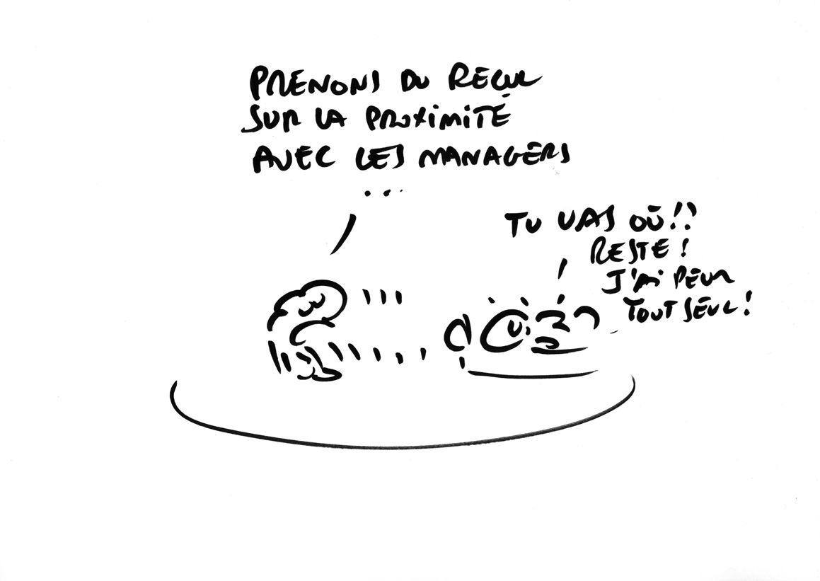 RAPAPORTdirectERDFcomplet52