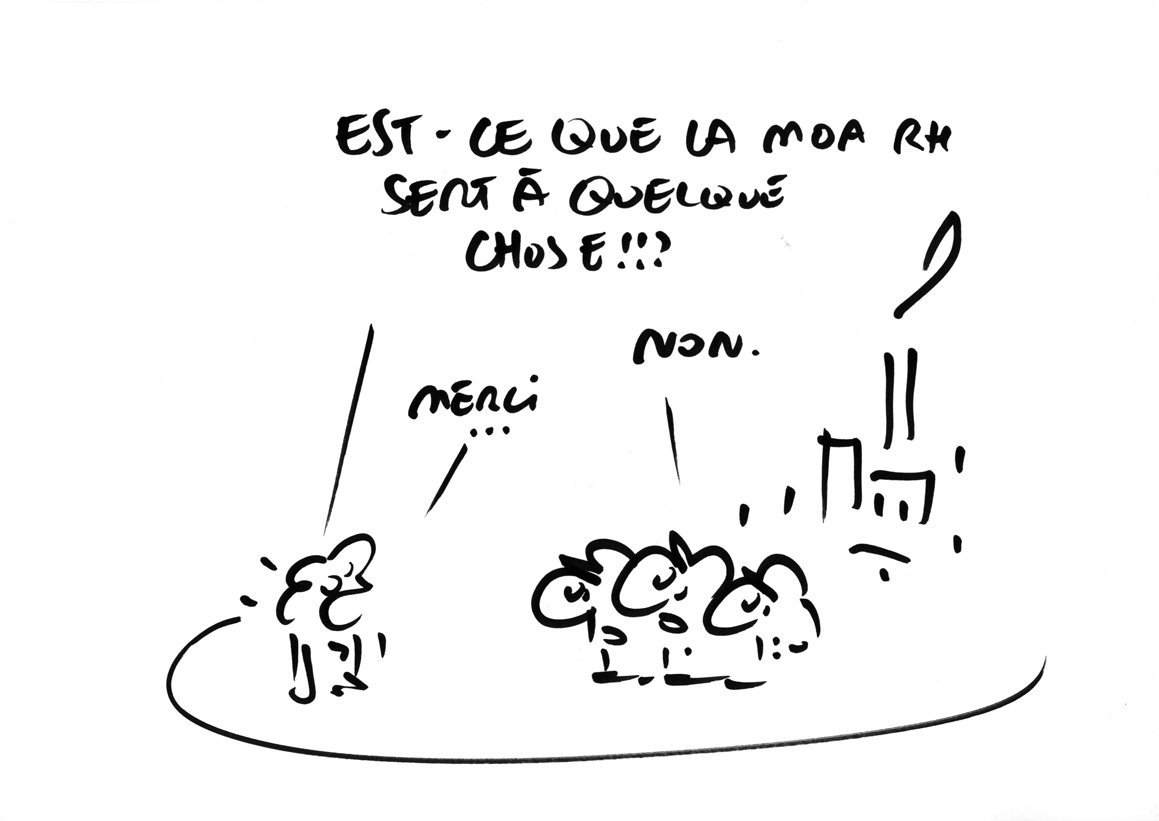 RAPAPORTdirectERDFcomplet57