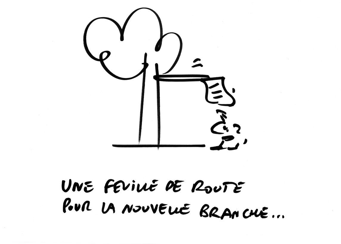 RAPAPORTdirectTOTALchangement65